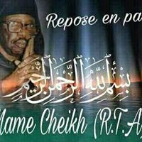 Amadou Gaye Photo 15