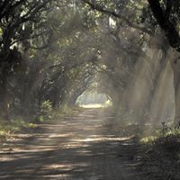 Dusty Roads Photo 6