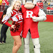 Scarlet Knight Photo 5