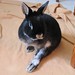 Bunny Arnold Photo 8