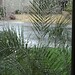 Az Rains Photo 9