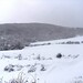 Nieve Goni Photo 7