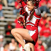 Scarlet Knight Photo 9