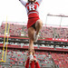 Scarlet Knight Photo 4